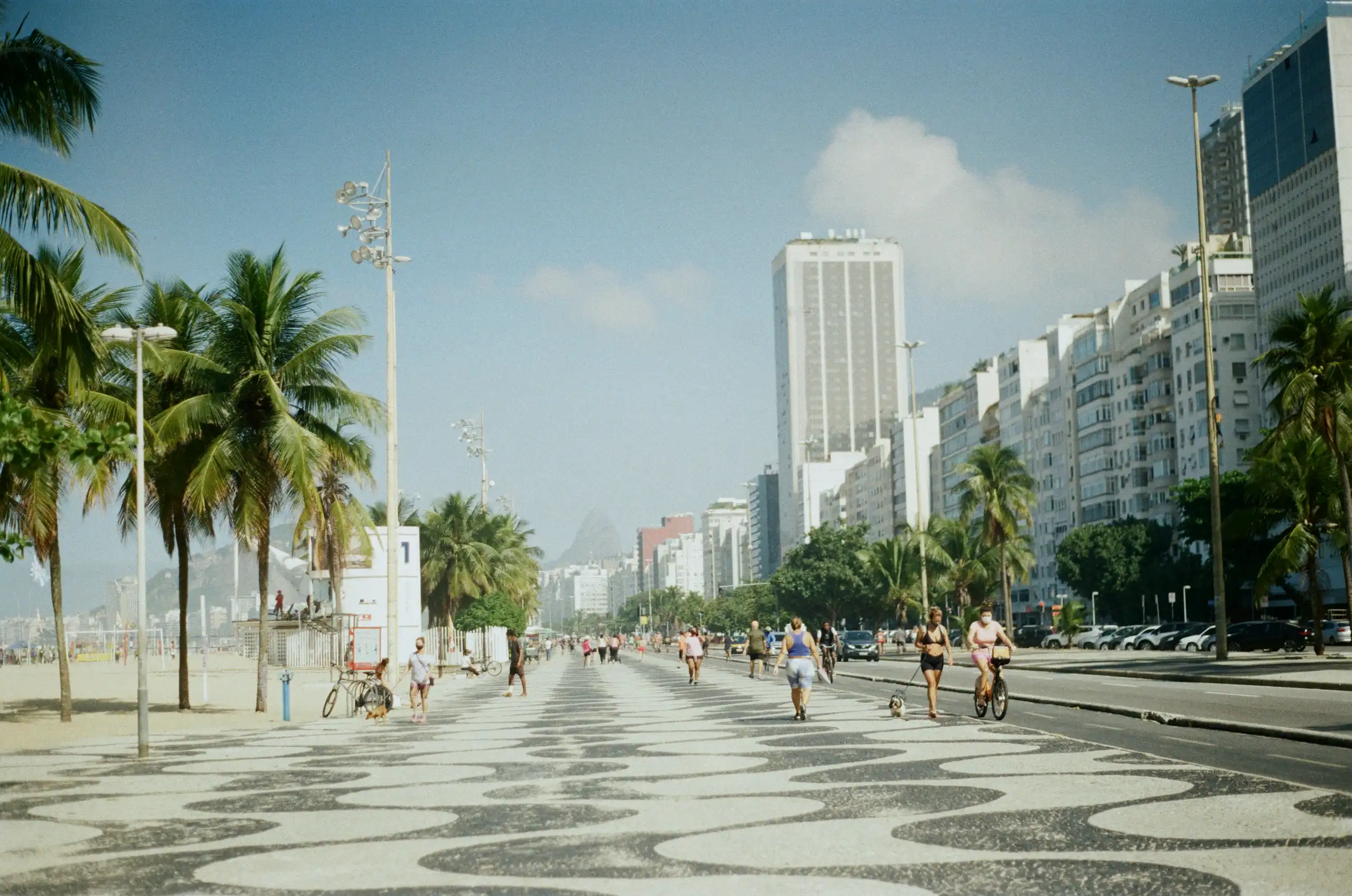 Boardwalk